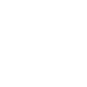 交易ZYN安全吗？